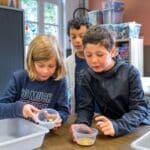 Animations scolaires : L'appareil digestif 10