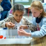 Animations scolaires : L'appareil digestif 11
