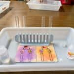 Animations scolaires : L'appareil digestif 12