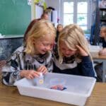 Animations scolaires : L'appareil digestif 6