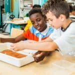 Classe de dépaysement école primaire : Sciences 3