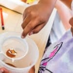 Classe de dépaysement école primaire : Sciences 7