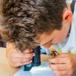 Classe de dépaysement école primaire : Sciences 6