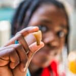 Classe de dépaysement école primaire : Sciences 4