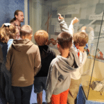 Classe de dépaysement école primaire : Musée gallo-romain 3