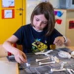 Animations scolaires : Le squelette 10
