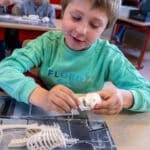 Animations scolaires : Le squelette 1