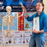 Animations scolaires : Le squelette 3