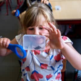 Animations scientifiques en écoles maternelles et primaires sur le thème "Une vie de lombric"