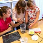 Animations scolaires : Une vie de lombric 4
