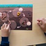 Animations scolaires : Une vie de lombric 11