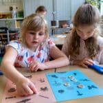 Animations scolaires : Une vie de lombric 1