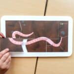 Animations scolaires : Une vie de lombric 8