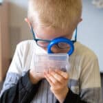Animations scolaires : Une vie de lombric 5