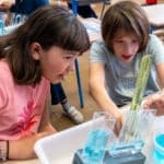 Animations scolaires : Les vases communicants 3