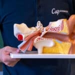 Animations scientifiques en écoles maternelles et primaires sur le thème "L'oreille, une mécanique bien huilée"