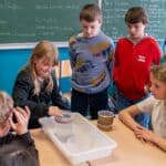 Animations scolaires : Du plan au solide 15
