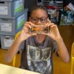 Animations scientifiques en écoles maternelles et primaires sur le thème "Le milieu marin"