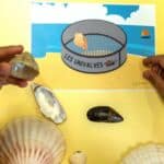 Animations scientifiques en écoles maternelles et primaires sur le thème "Le milieu marin"