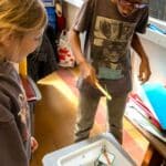Animations scientifiques en écoles maternelles et primaires sur le thème "Le milieu marin"