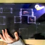 Animations scientifiques en écoles maternelles et primaires sur le thème "Le milieu marin"