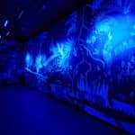 Excursion scolaire Illusions & Sciences : World Of Mind 9
