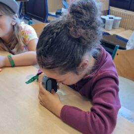 Stages de vacances pour enfants de 5 à 8 ans ayant pour thème 'Les p'tits curieux'