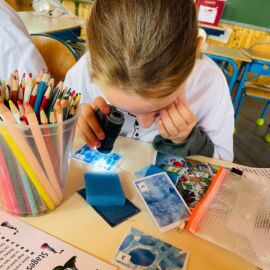 Stages de vacances pour enfants de 5 à 8 ans ayant pour thème 'Les p'tits curieux'