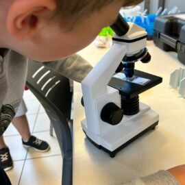 Stages de vacances pour enfants de 5 à 8 ans ayant pour thème 'Les p'tits curieux'