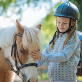 Stage poney avec Cap Sciences et Action Sport