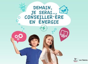 miniature conseiller en energie web