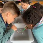 animations enfants sciences