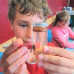 super heros supers pouvoirs cap sciences